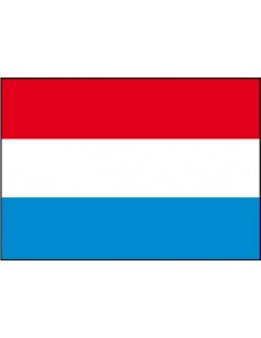 Nederlandse vlag div.modellen