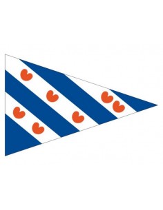 Friese puntvlag div.modellen