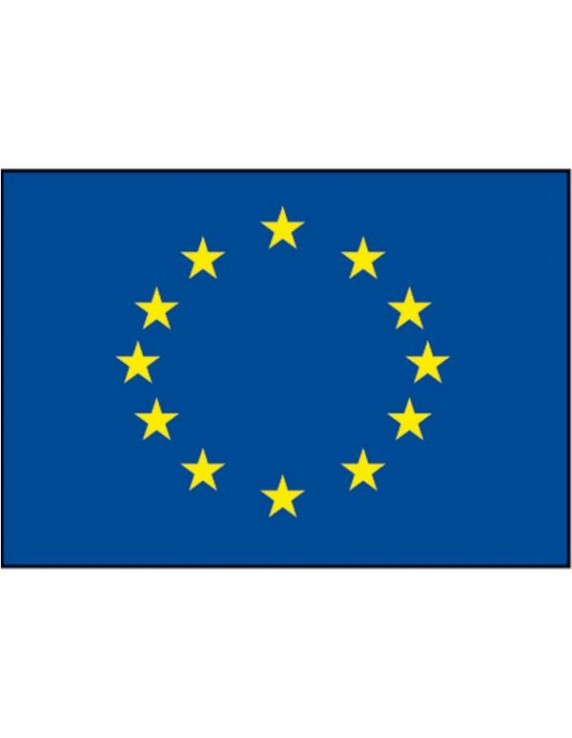 Raad van Europa vlag div.modellen