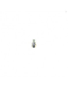 THERMOSTAT RARITAN 2