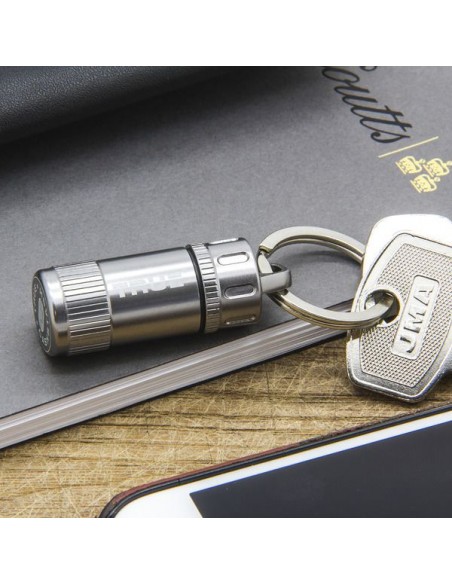 Sleutelhanger Cashstash+