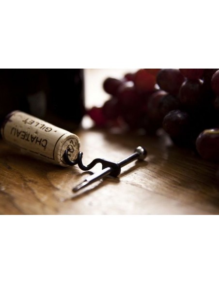 Sleutelhanger Twistick