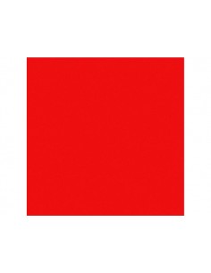 BODENSEE NOODVLAG 60X60