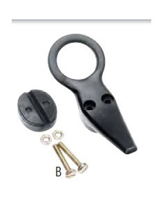 Stagkikker met een oog