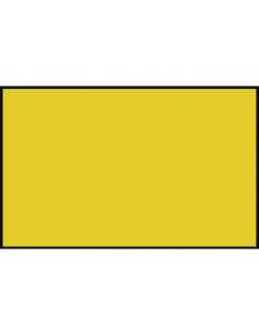 Vlag kleur 70x100 cm